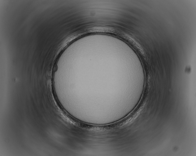 X0000099951033200806201308