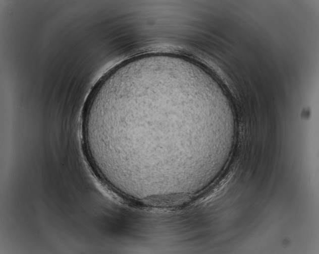 X0000099951034200806201308