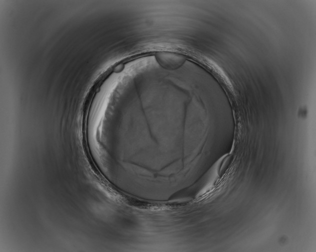 X0000099951035200806201308