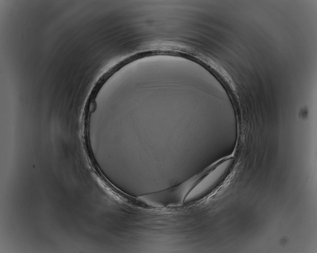 X0000099951037200806201308