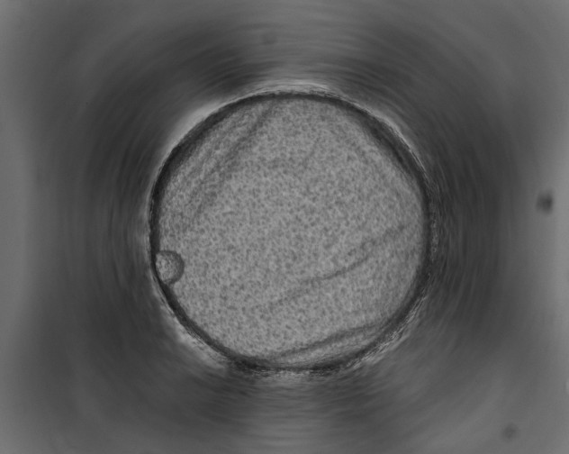 X0000099951038200806201308