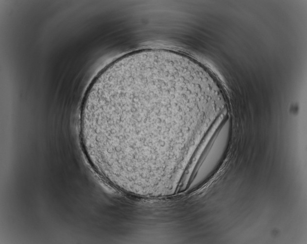 X0000099951040200806201308