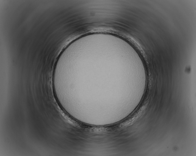 X0000099951041200806201308