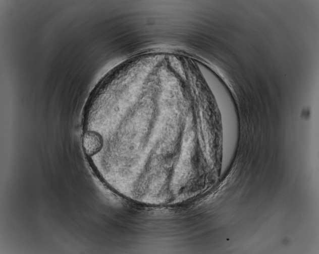 X0000099951042200806201308