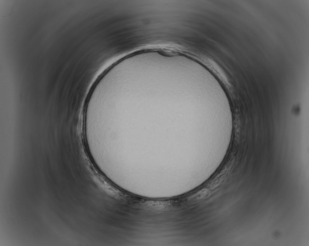 X0000099951044200806201308