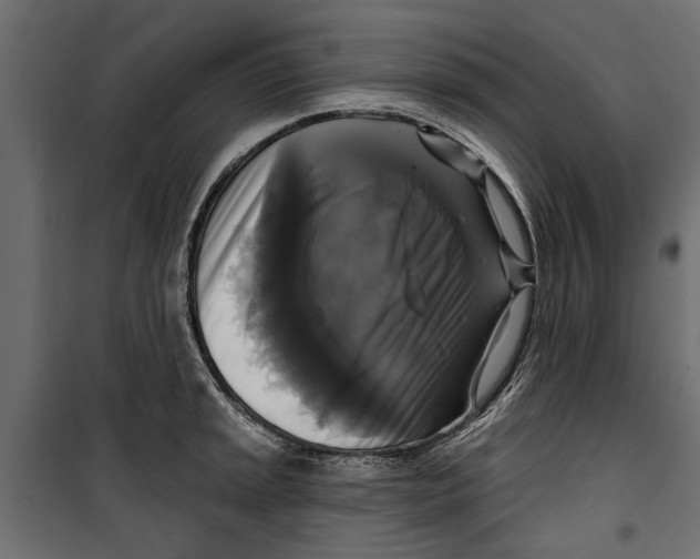 X0000099951045200806201308