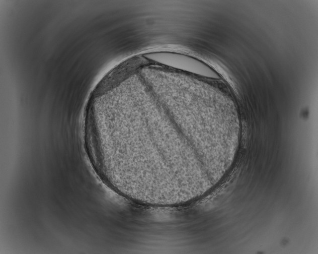 X0000099951046200806201308