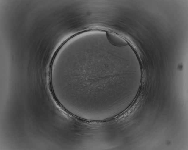 X0000099951048200806201308