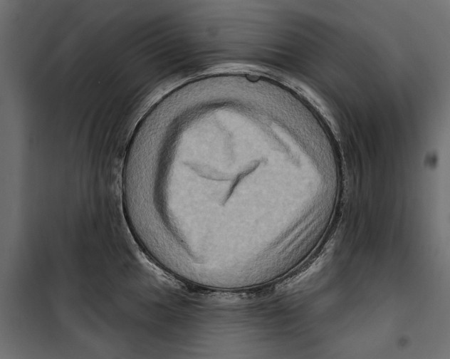 X0000099951049200806201308