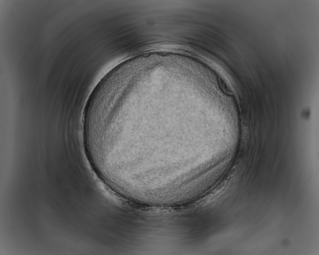 X0000099951050200806201308