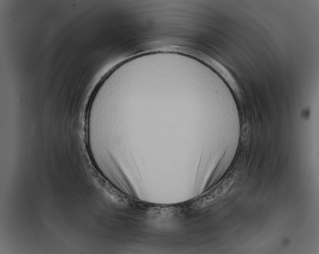X0000099951051200806201308