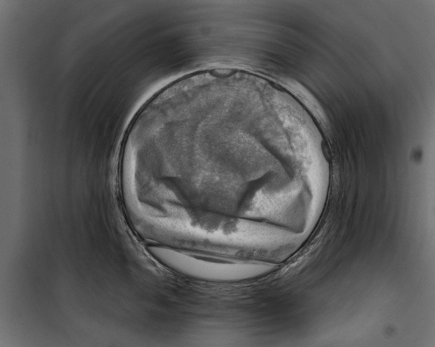 X0000099951052200806201308