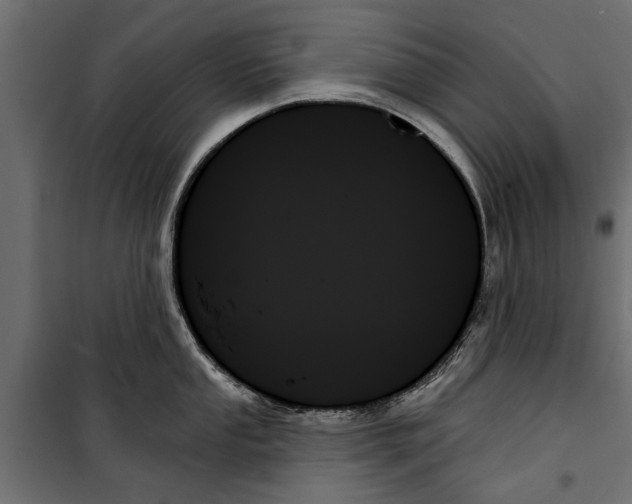 X0000099951053200806201308