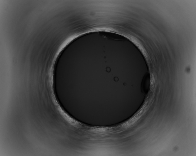 X0000099951054200806201308