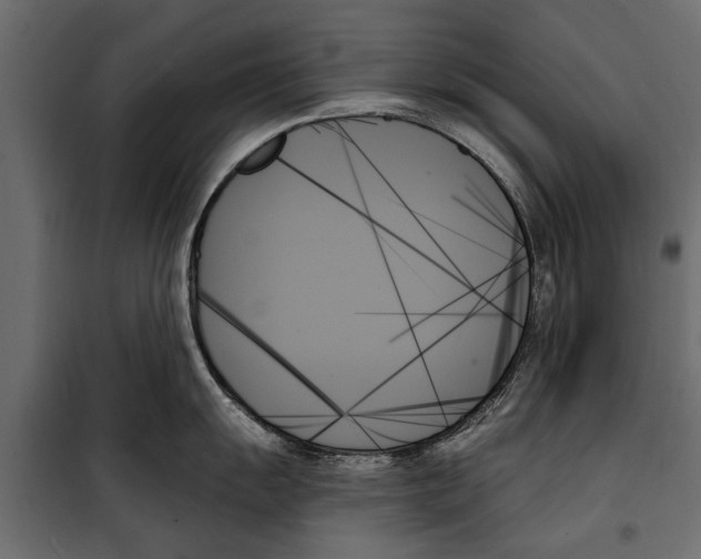 X0000099951055200806201308