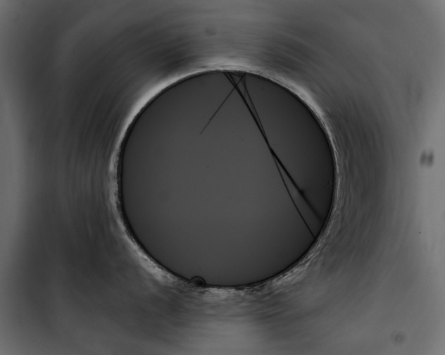 X0000099951056200806201308