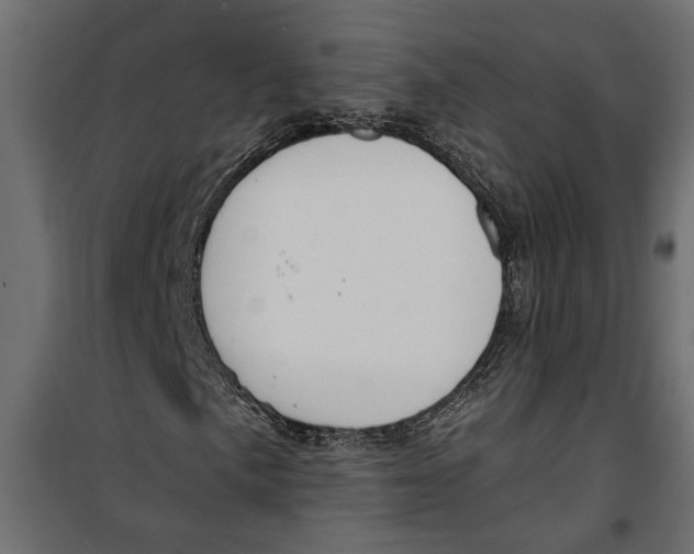 X0000099951057200806201308
