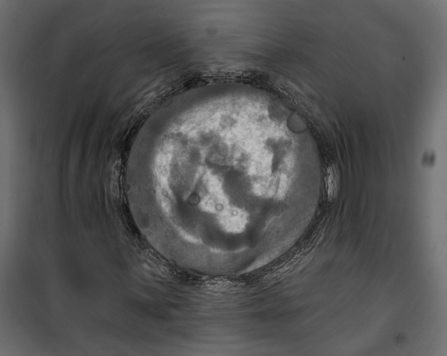X0000099951059200806201308