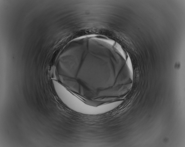 X0000099951060200806201308
