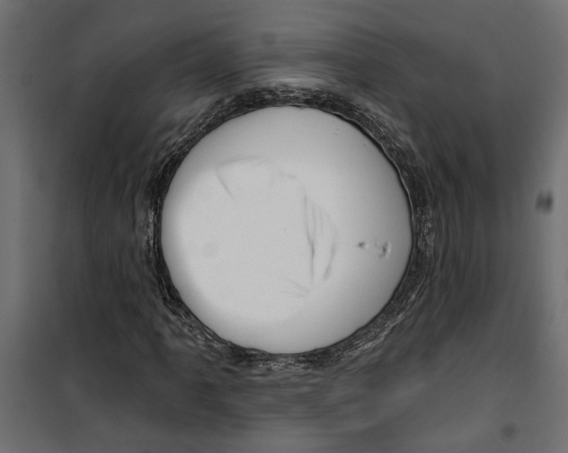 X0000099951061200806201308