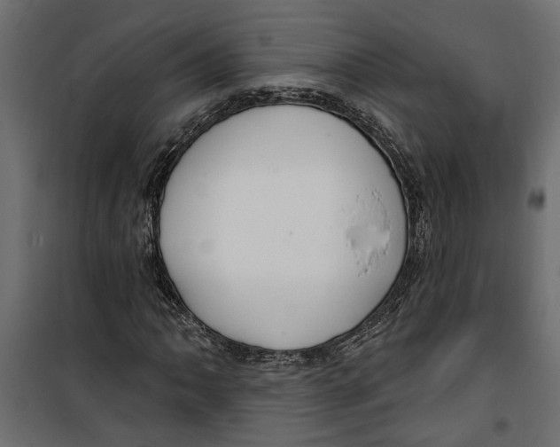 X0000099951062200806201308