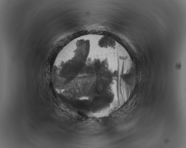 X0000099951063200806201308