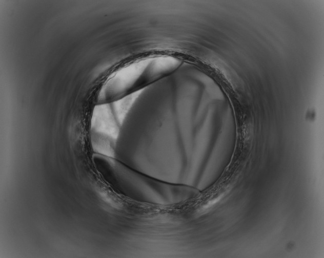 X0000099951064200806201308