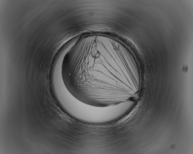 X0000099951065200806201308
