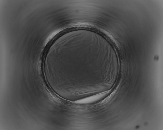 X0000099951066200806201308