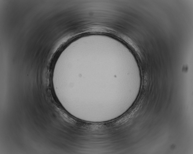 X0000099951067200806201308