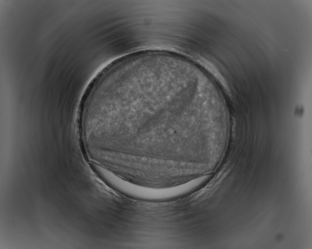 X0000099951068200806201307