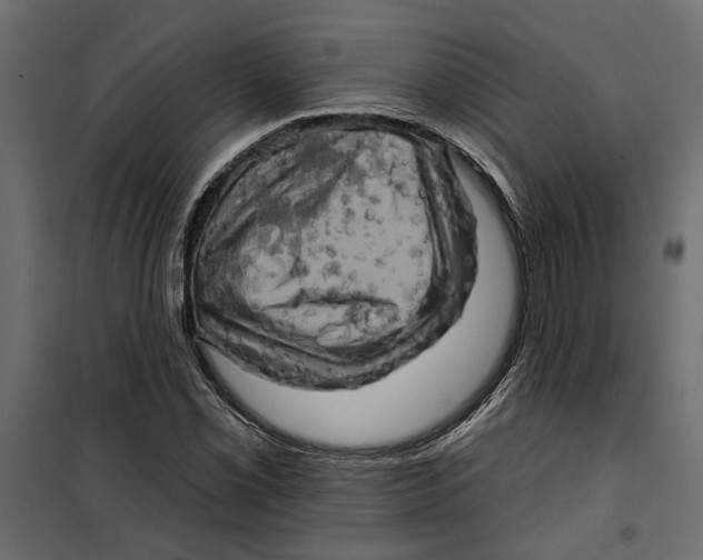 X0000099951069200806201307
