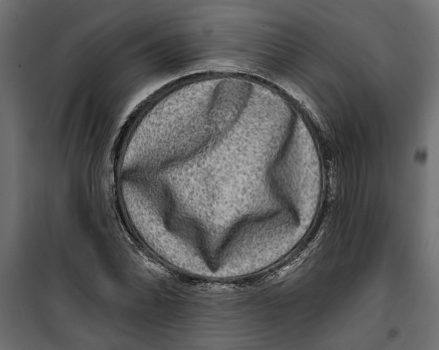 X0000099951070200806201307