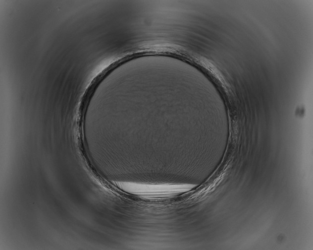 X0000099951071200806201307