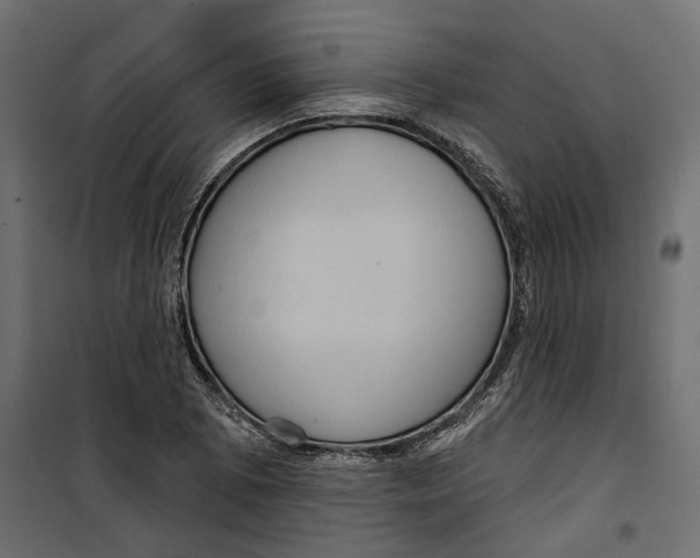 X0000099951073200806201307