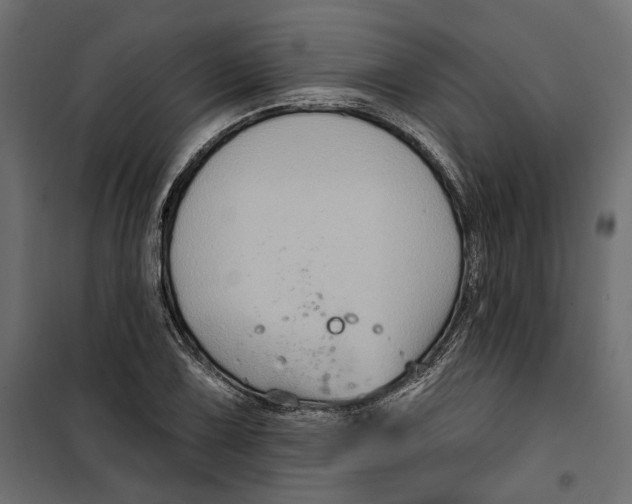 X0000099951075200806201307