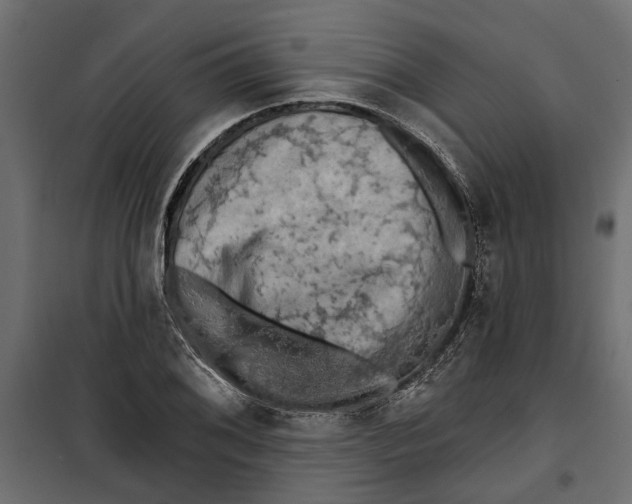 X0000099951076200806201307