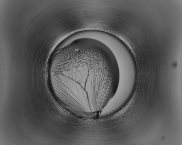 X0000099951077200806201307