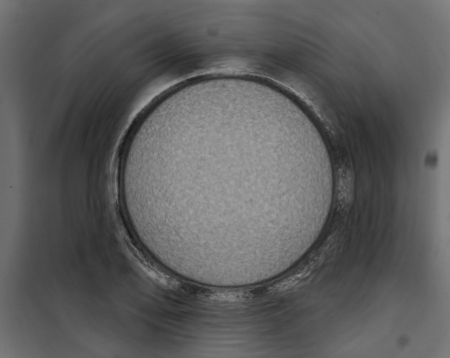 X0000099951078200806201307