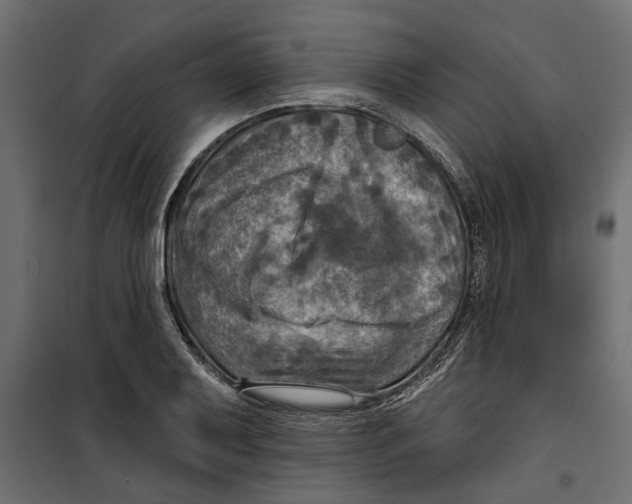 X0000099951079200806201307