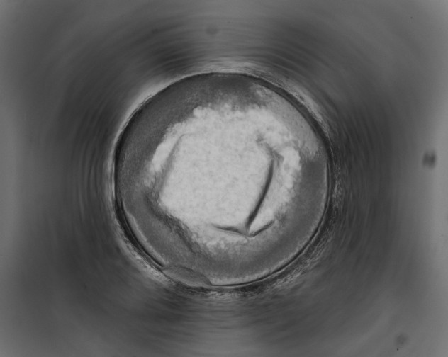X0000099951080200806201307