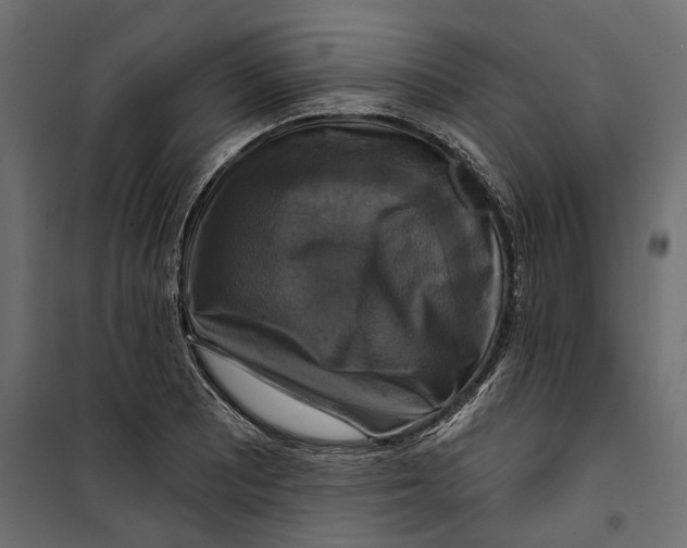 X0000099951081200806201307