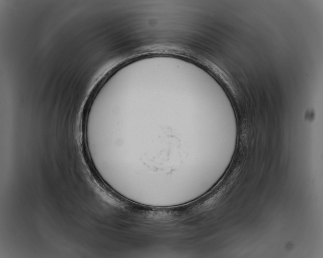 X0000099951082200806201307