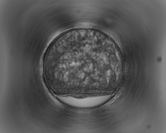 X0000099951083200806201307