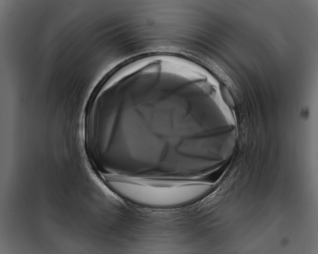 X0000099951084200806201307