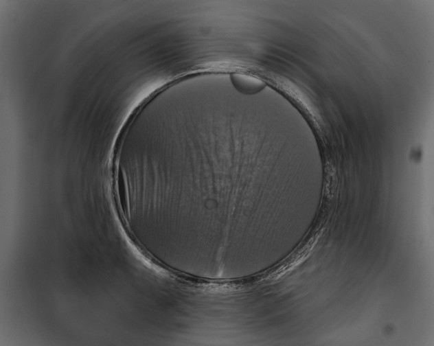 X0000099951087200806201307