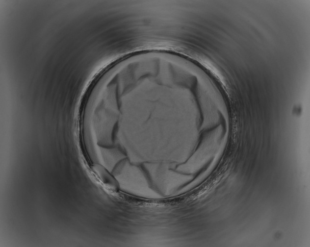 X0000099951088200806201307