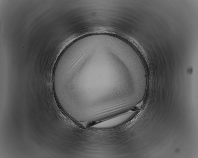 X0000099951089200806201307
