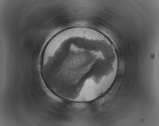 X0000099951090200806201307