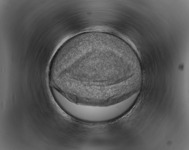 X0000099951091200806201307